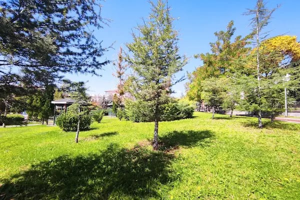 Ankara Parkı - Resim 8