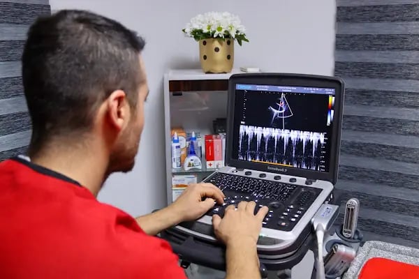 Vetinternal Veteriner Polikliniği - Resim 10
