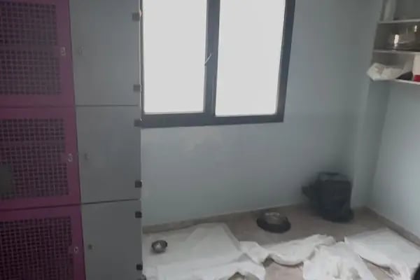 Vetinternal Veteriner Polikliniği - Resim 11