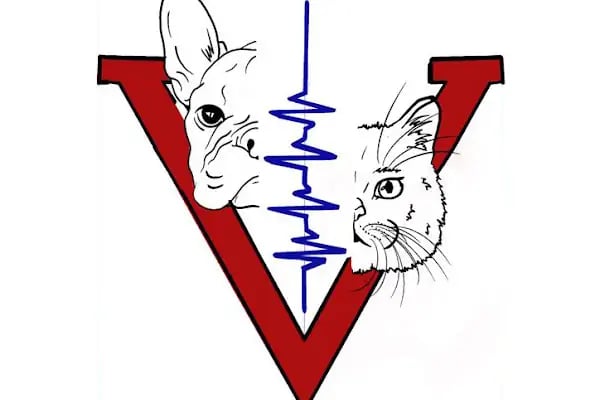 Vetinternal Veteriner Polikliniği - Resim 14