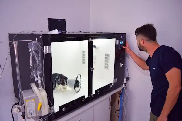 Vetinternal Veteriner Polikliniği - Resim 5