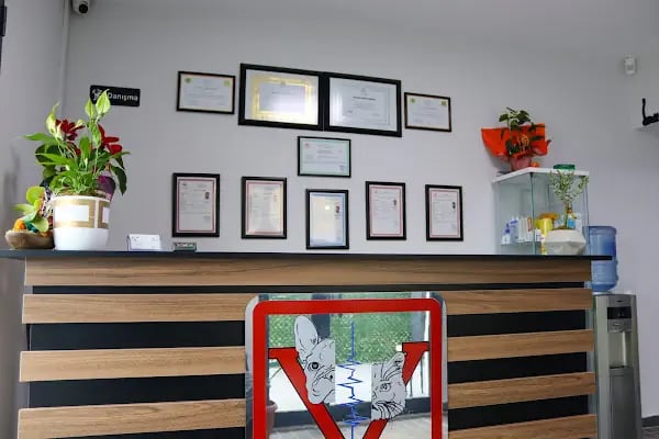 Vetinternal Veteriner Polikliniği - Resim 3