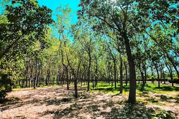 İzmir Büyükşehir Belediyesi İnciraltı Kent Ormanı - Resim 16