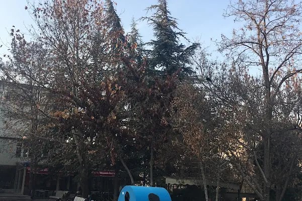 Ankara Üniversitesi Hemşirelik Fakültesi - Resim 15