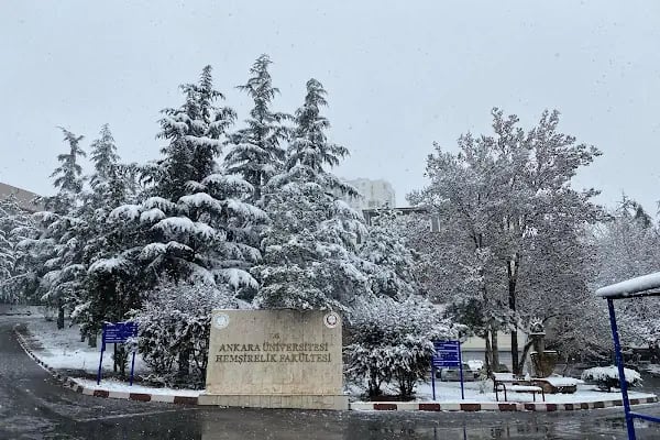 Ankara Üniversitesi Hemşirelik Fakültesi - Resim 4