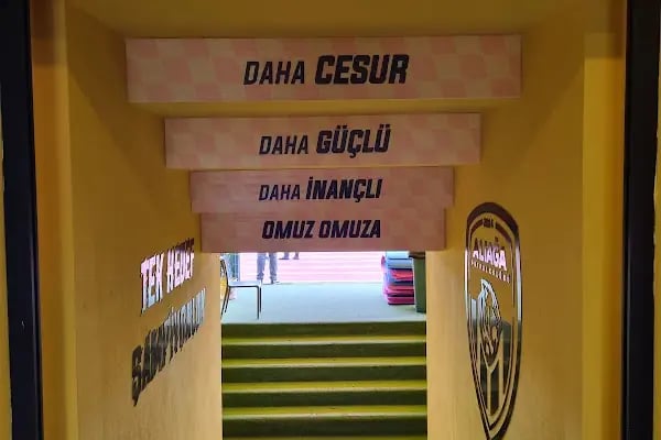 Aliağa Atatürk Stadyumu - Resim 13