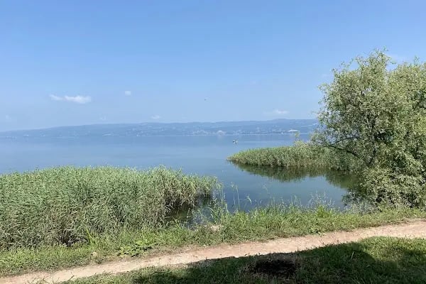 Sapanca Belediyesi Bisiklet ve Yürüyüş Yolu - Resim 10