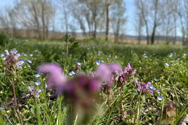 Sapanca Belediyesi Bisiklet ve Yürüyüş Yolu - Resim 18