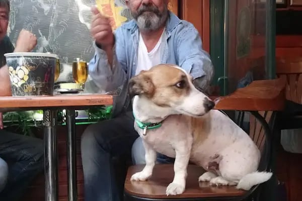 Gulet Bar - Resim 12