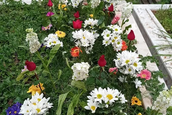 Çiçekçi Sezai - Resim 15