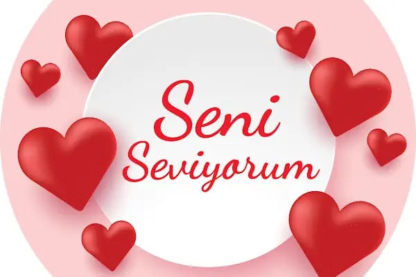 Çiçekçi Sezai - Resim 16