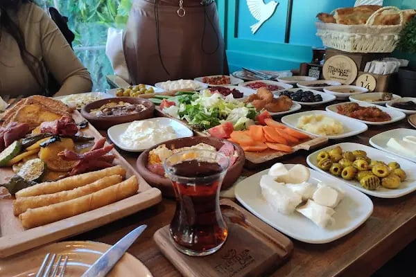Mahabad Bahçe - Resim 17