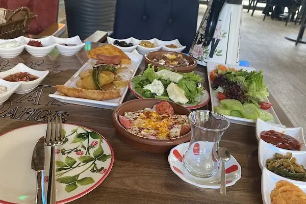 Mahabad Bahçe - Resim 5