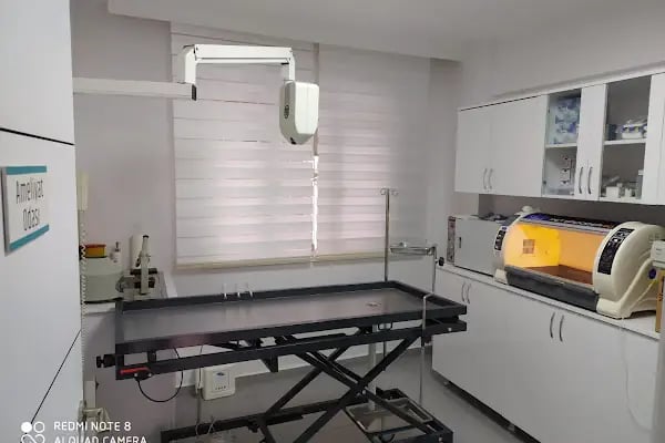Home Veteriner Kliniği - Resim 13