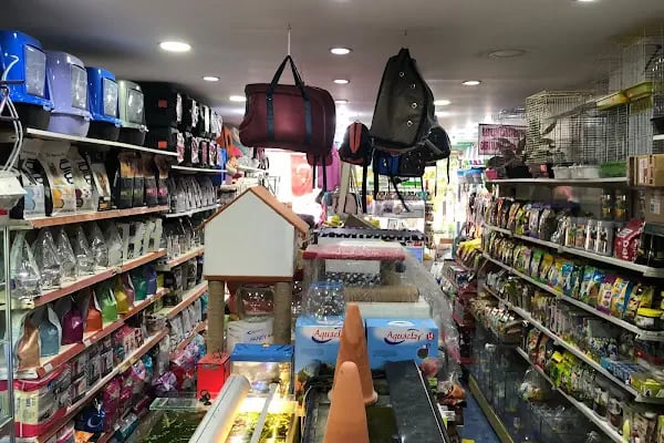 Flipper Pet Shop - Resim 2