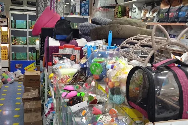 Flipper Pet Shop - Resim 19