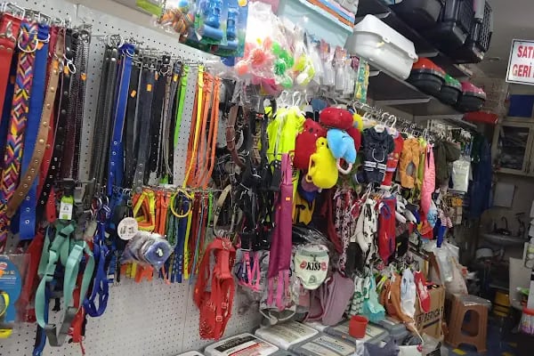 Flipper Pet Shop - Resim 13