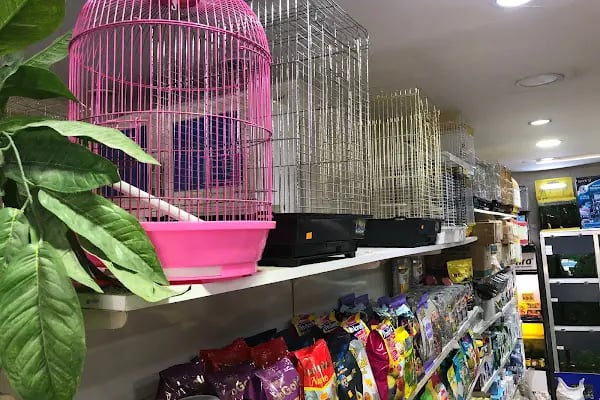 Flipper Pet Shop - Resim 10
