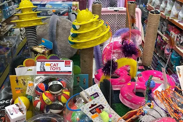 Flipper Pet Shop - Resim 7
