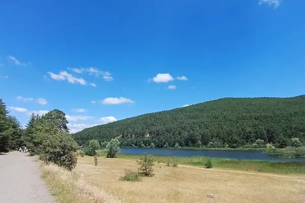 Çamkoru Tabiat Parkı - Resim 20