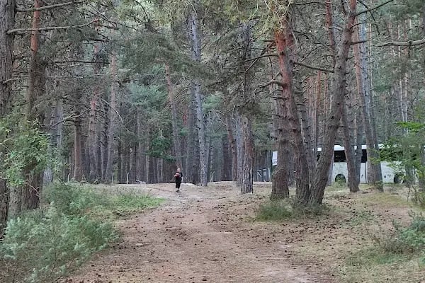 Çamkoru Tabiat Parkı - Resim 8