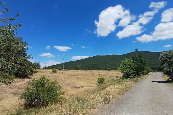 Çamkoru Tabiat Parkı - Resim 19