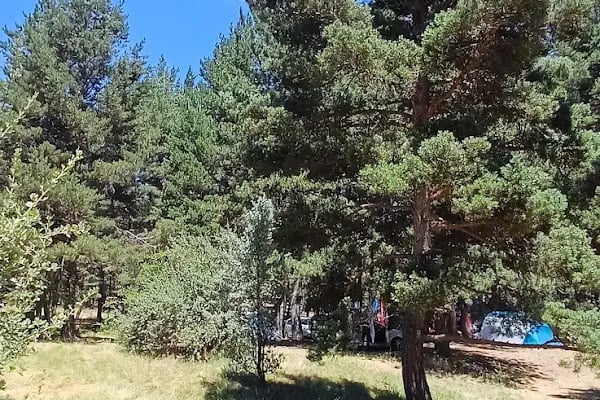 Çamkoru Tabiat Parkı - Resim 17