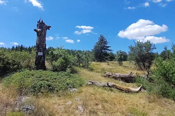 Çamkoru Tabiat Parkı - Resim 18