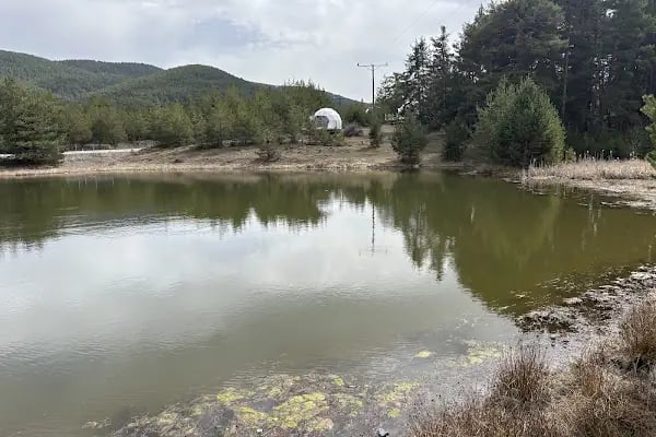 Çamkoru Tabiat Parkı - Resim 9