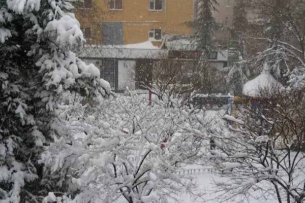 Şht. Murat Kalyoncu Parkı - Resim 4