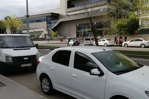 Diyarbakır Sezai Karakoç Kültür ve Kongre Merkezi - Resim 13