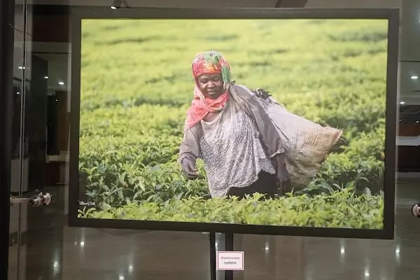 Diyarbakır Sezai Karakoç Kültür ve Kongre Merkezi - Resim 10