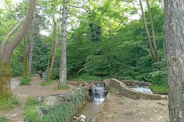 Cumalıkızık Orman Parkı - Resim 16