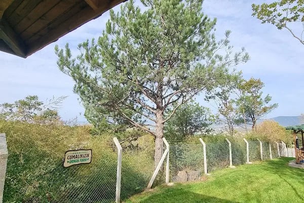 Cumalıkızık Orman Parkı - Resim 19