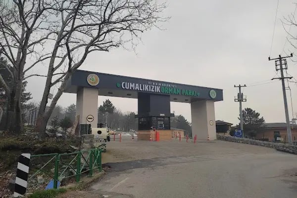 Cumalıkızık Orman Parkı - Resim 5