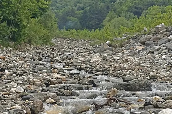 Cumalıkızık Orman Parkı - Resim 10