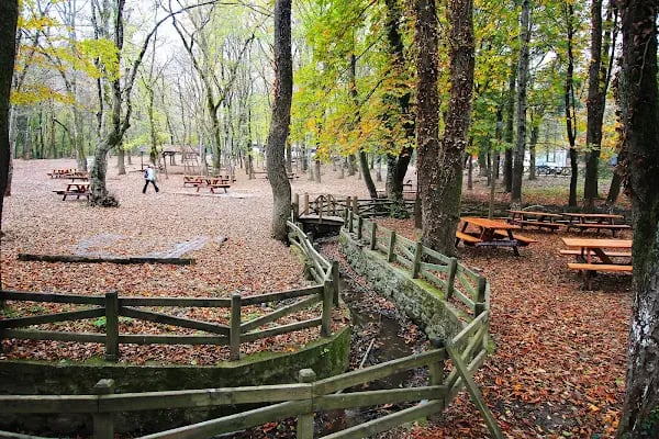 Neşetsuyu Tabiat Parkı - Resim 8