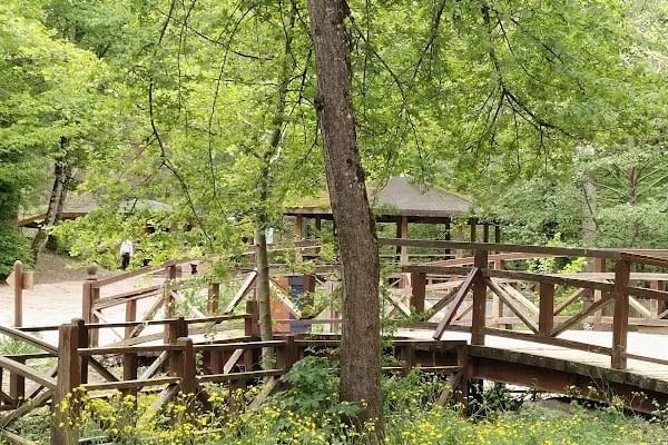 Neşetsuyu Tabiat Parkı - Resim 14