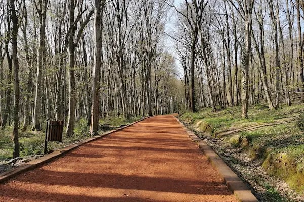 Neşetsuyu Tabiat Parkı - Resim 3