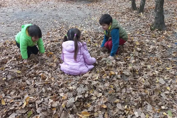 Neşetsuyu Tabiat Parkı - Resim 13