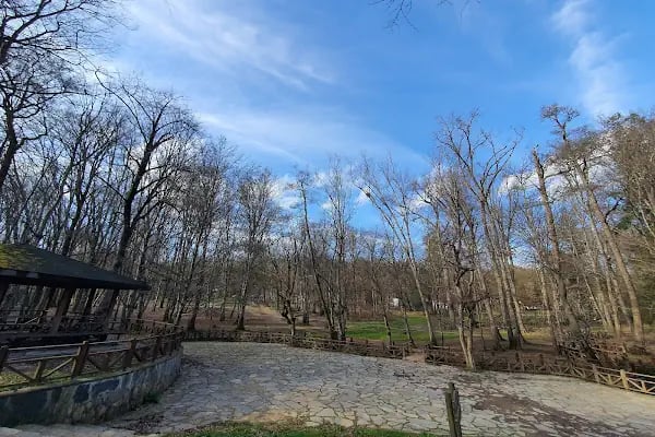 Neşetsuyu Tabiat Parkı - Resim 11