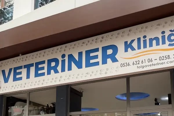 TOLGA VETERİNER KLİNİĞİ - Resim 1