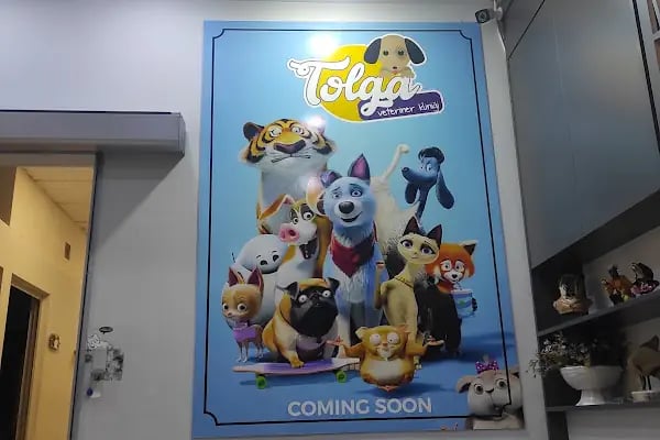 TOLGA VETERİNER KLİNİĞİ - Resim 20