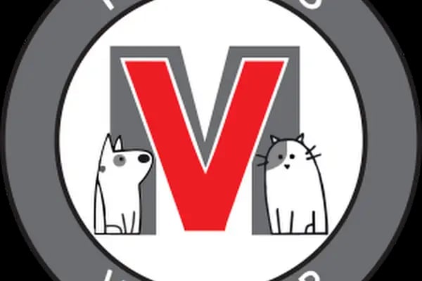 19 Mayıs Veteriner Kliniği - Resim 15