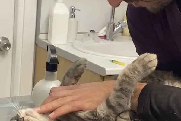 19 Mayıs Veteriner Kliniği - Resim 14