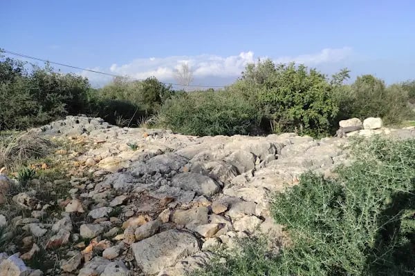 Zeus Tapınağı ve Kilise - Resim 15