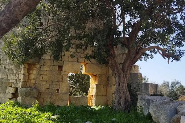 Zeus Tapınağı ve Kilise - Resim 16