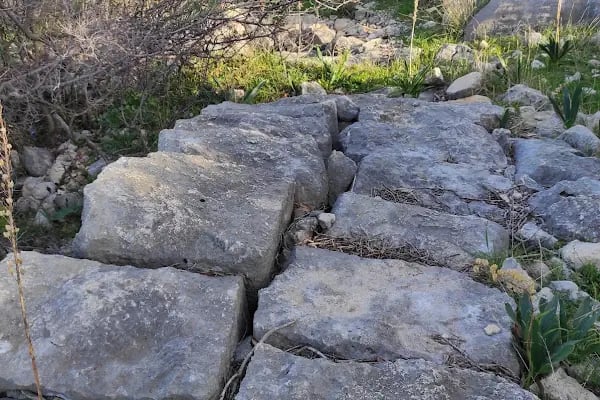 Zeus Tapınağı ve Kilise - Resim 19