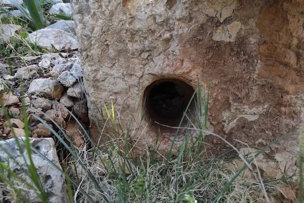 Zeus Tapınağı ve Kilise - Resim 12