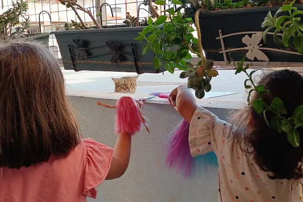 Yeniköy Balık Evi - Resim 16